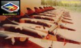 /album/fotogaleria/a402962-106659559483534-128091329-n-jpg/